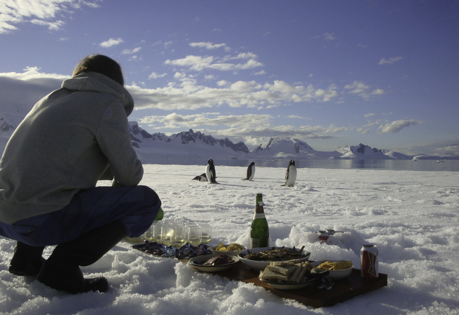 Navire polaire Hans Hansson en Antarctique